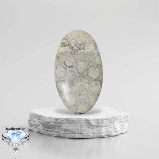 نگین فسیل مرجان بیضی